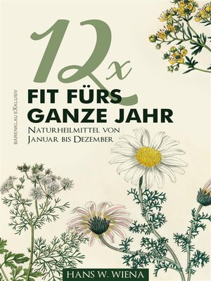 cover image of 12 x Fit fürs ganze Jahr